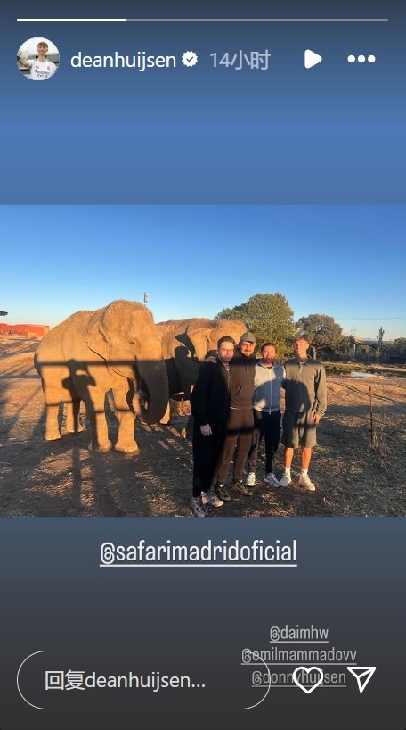 近距离斗争，赫伊森社媒晒去动物园看大象的像片